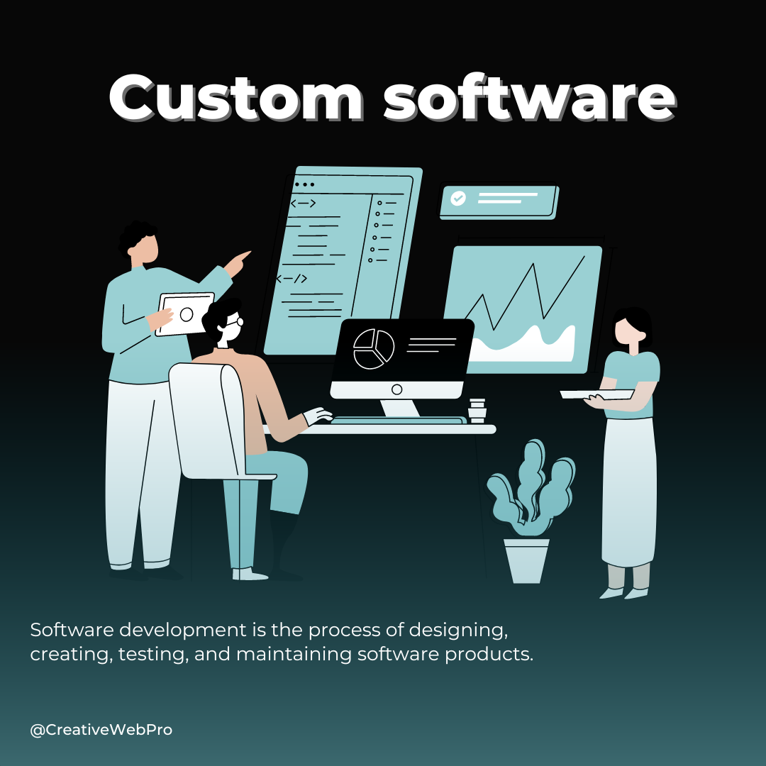 custom software development